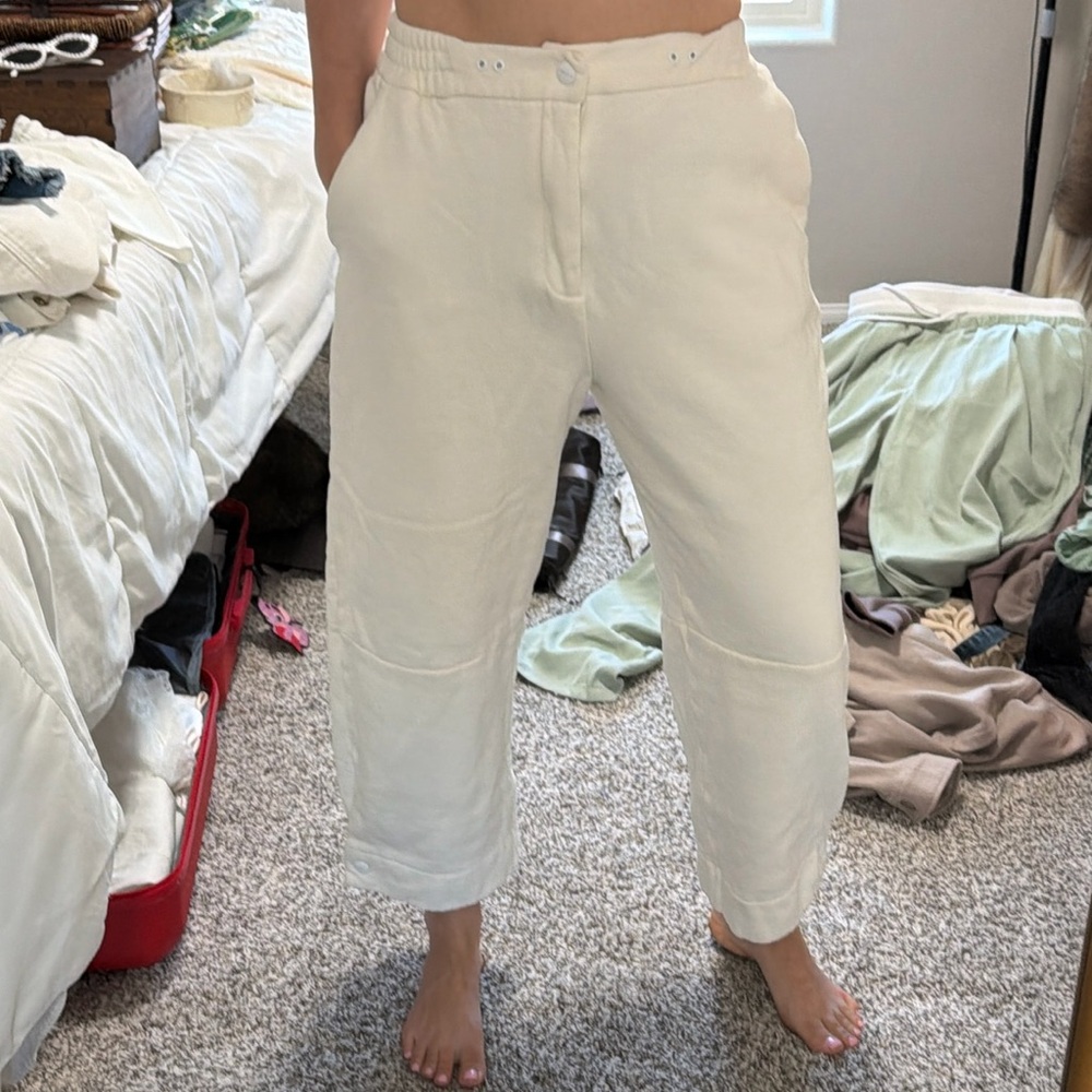 Zara pants